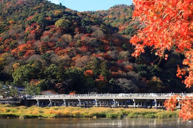 Kyoto Sagano Bamboo Grove & Arashiyama Walking Tour - Traveler Photos and Reviews