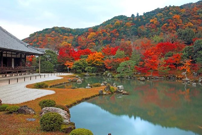 Kyoto Sagano Bamboo Grove & Arashiyama Walking Tour - Overview and Highlights