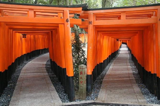 Kyoto Afternoon Tour - Fushimiinari Shrine & Kiyomizu Temple From Kyoto - Organization and Recommendations