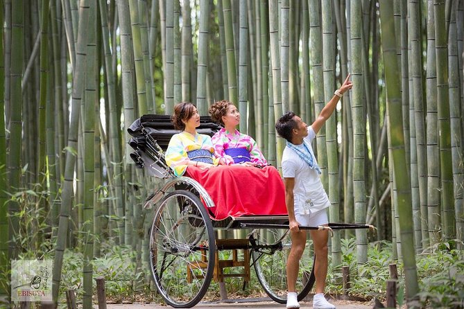 Kyoto Arashiyama Rickshaw Tour With Bamboo Forest - Unforgettable Views From a Rickshaw