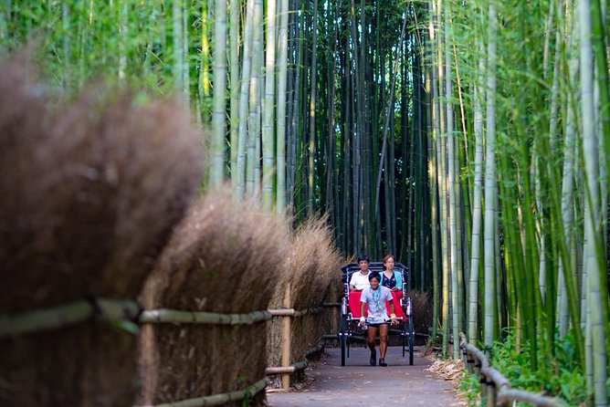 Kyoto Arashiyama Rickshaw Tour With Bamboo Forest - Tips for an Enjoyable Kyoto Arashiyama Experience