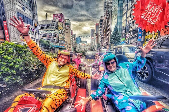 Private Go-Karting Tour of Shinjuku With Cartoon Costumes  - Tokyo - Private Tour of Shinjuku: Go-Karting Adventure