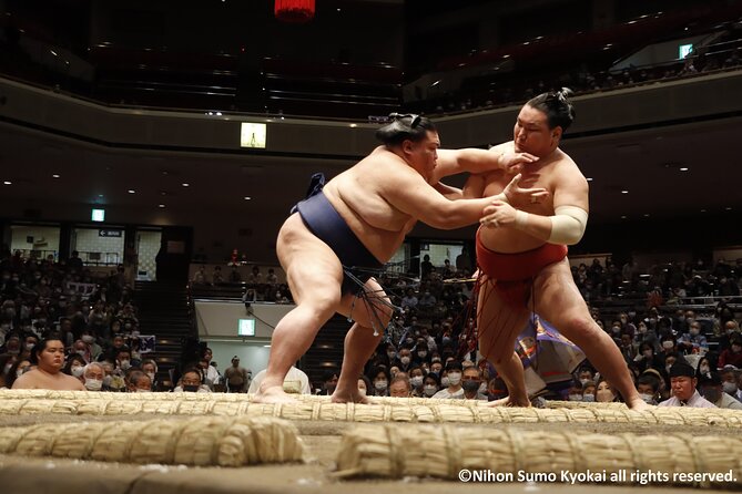 Tokyo Grand Sumo Tournament Viewing Tour - The History and Tradition of Sumo Wrestling