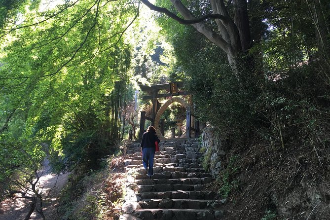 Tokyo Countryside Tours - Knowledgeable Guide