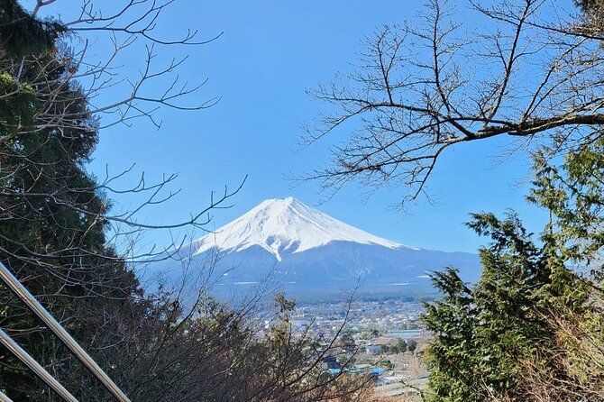 One Day Private Tour to Mount Fuji - Cancellation Policy
