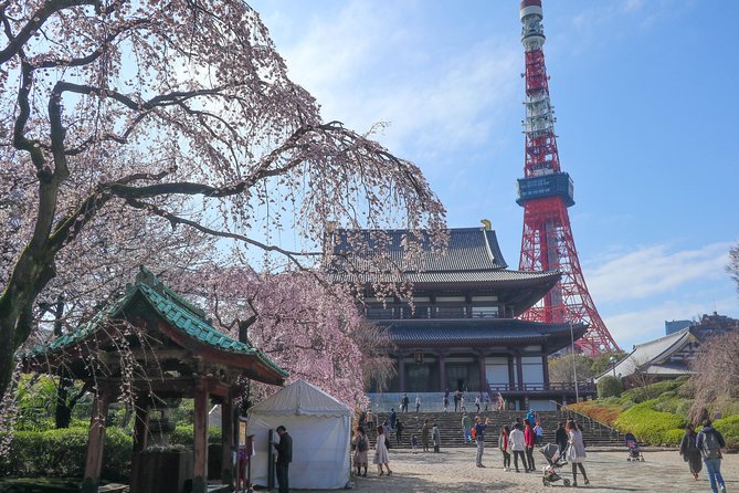 5-Hour Tokyo Historical Bike Tour Through Imperial Palace & Tsukiji - Tour Details