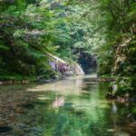 half-day-oku-yuki-river-trekking-quick-takeaways