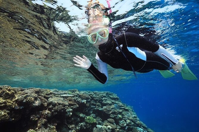 Naha: Full-Day Snorkeling Experience in the Kerama Islands, Okinawa - Inclusions and Highlights of the Tour