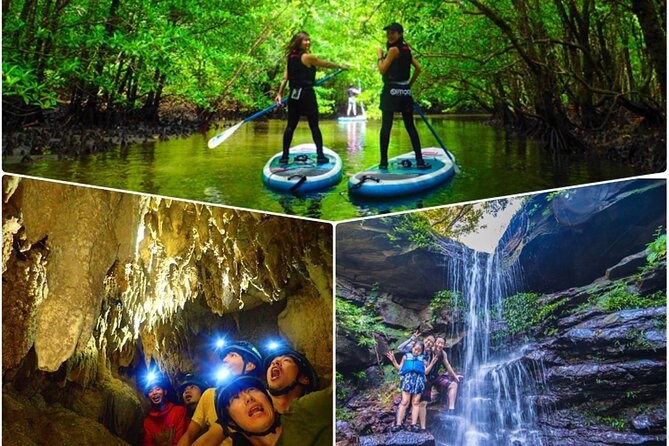 [Okinawa Iriomote] Sup/Canoe Tour at Mangrove & Limestone Cave Exploration