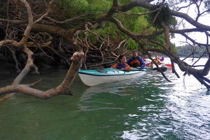 Kayak Mangroves or Coral Reef: Private Tour in North Okinawa - Cancellation Policy