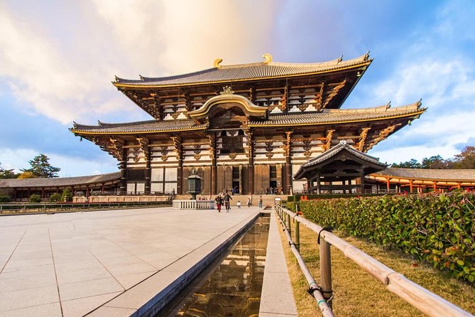 Day Trip to Nara From Osaka or Kyoto, World Heritage Sites and Deer Park Tour
