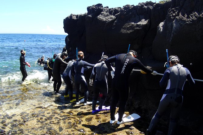 Experience Diving! ! Scuba Diving in the Sea of Japan! ! if You Are Not Confident in Swimming, It Is