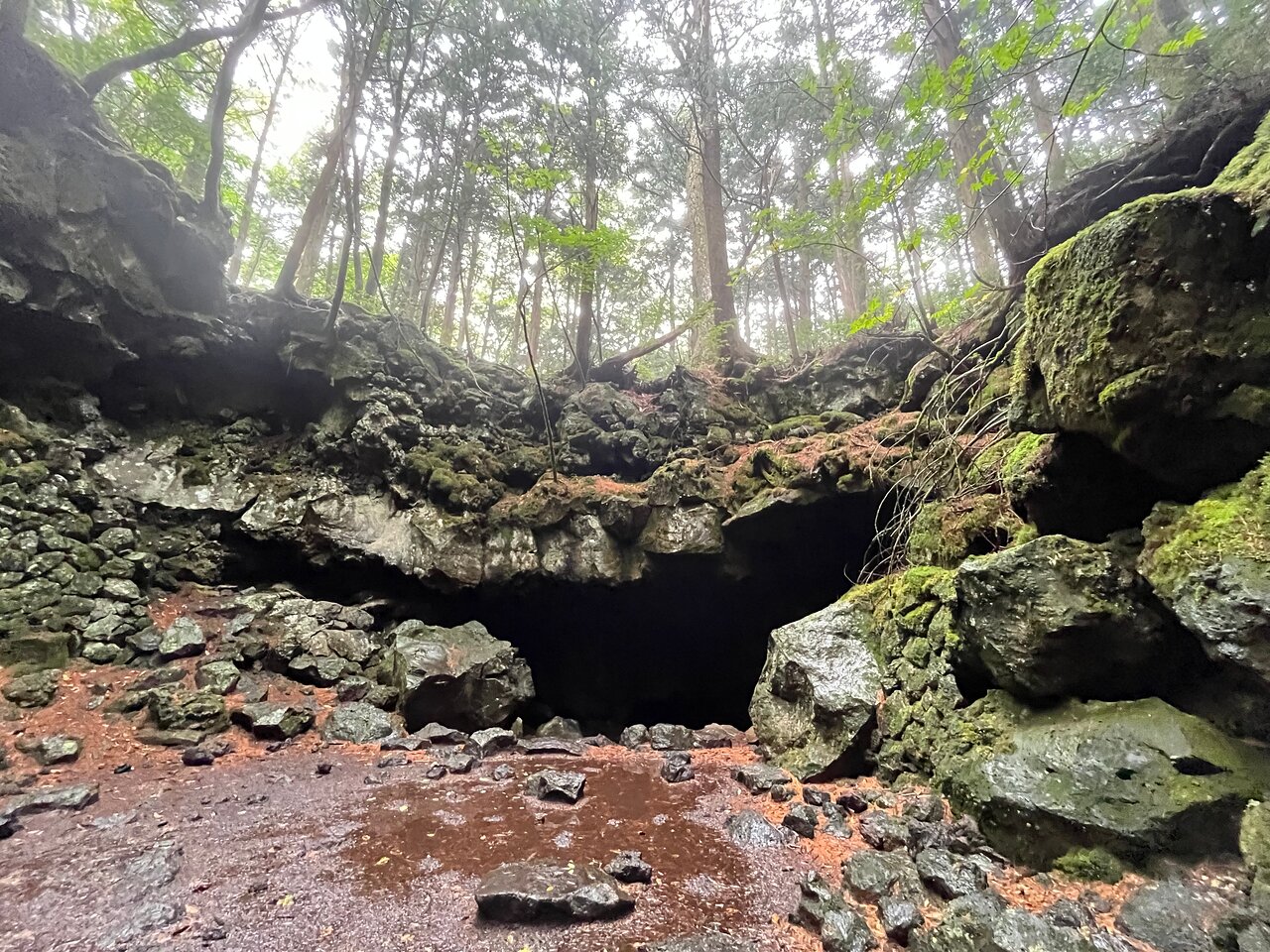 Explore Mt. Fuji Ice Cave in Aokigahara Forest - Discover the Mysteries of the Mt. Fuji Ice Cave