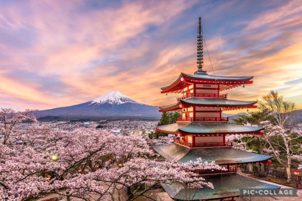From Tokyo/Hakone/Fuji: Hakone & Mt. Fuji Day Trip W/Pickup - Quick Takeaways