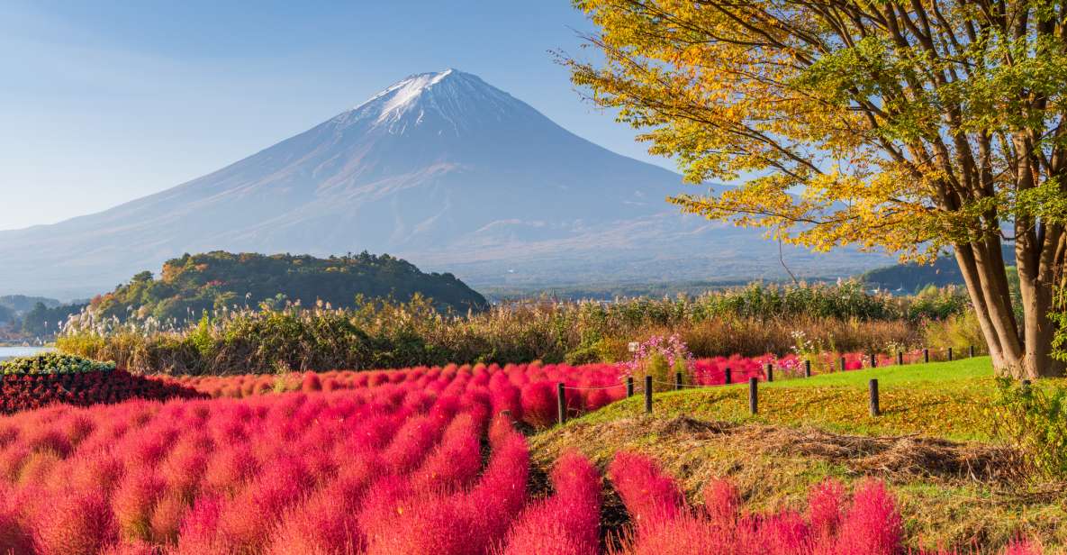 From Tokyo: Mount Fuji Highlights Private Day Tour - Quick Takeaways
