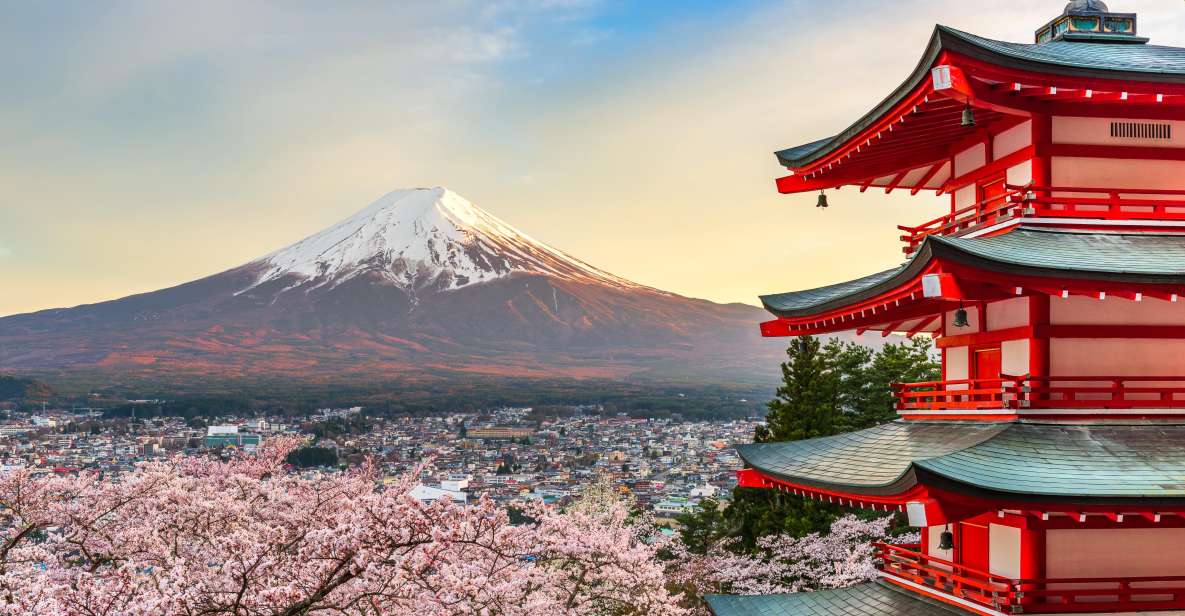 From Tokyo: Mt. Fuji or Hakone Private Sightseeing Day Trip - Quick Takeaways