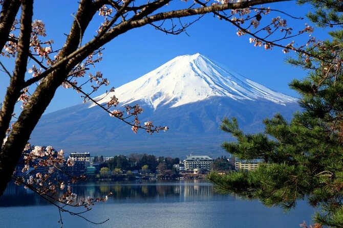 Full-Day Guided Private Tour in Mountain Fuji
