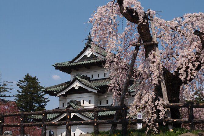 Full-Day Jomon World Heritage Site Tour in Hirosaki Area - Quick Takeaways