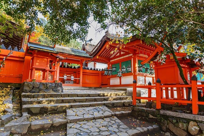 Fushimi Inari & Nara Highlights Tour - Quick Takeaways