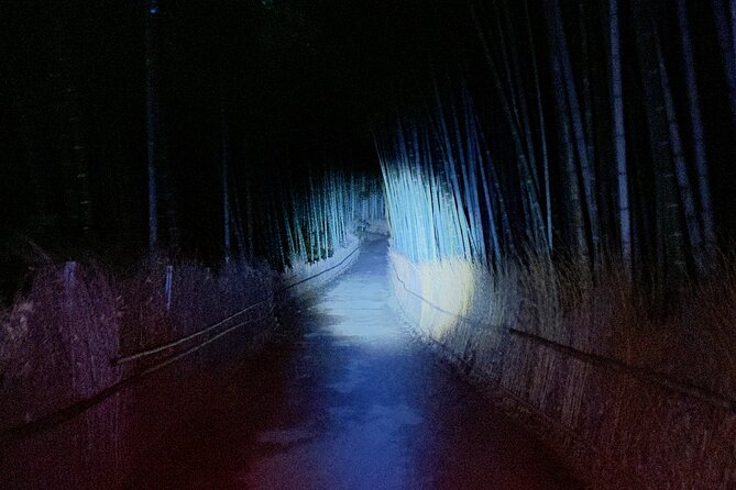 Ghost Hunting in the Bamboo Forest - Arashiyama Kyoto at Night - Quick Takeaways