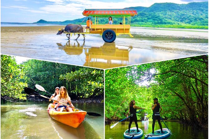 [Iriomote]Sup/Canoe Tour Sightseeing in Yubujima Island - Quick Takeaways