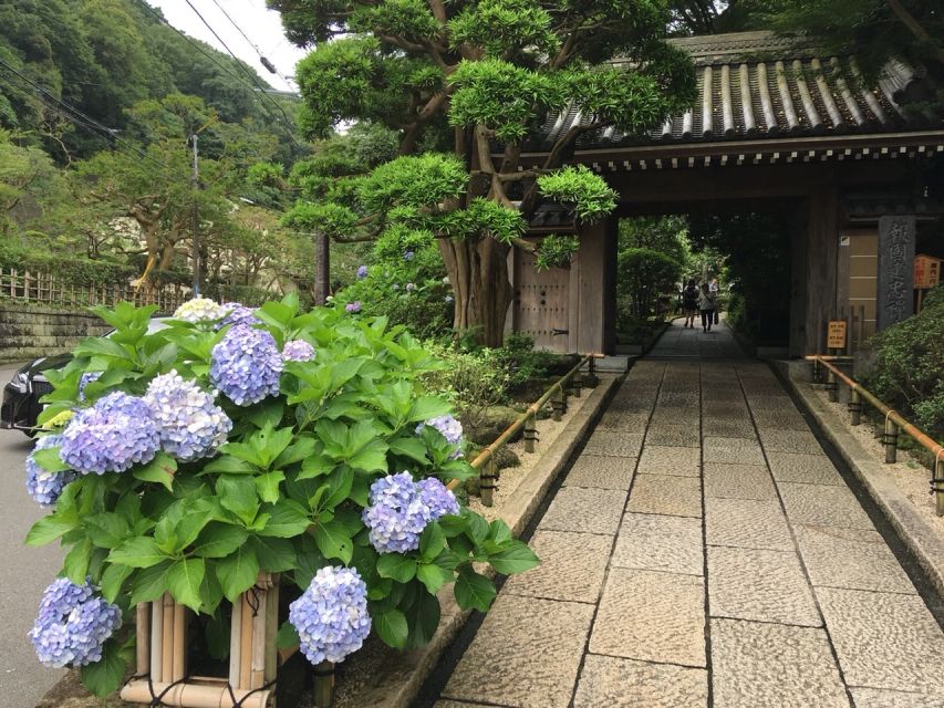 Kamakura: Private History and Heritage Tour by Rickshaw - Quick Takeaways