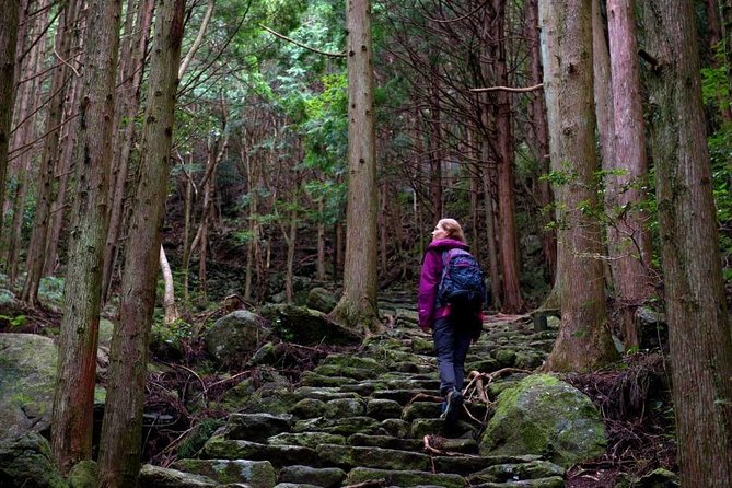 Kumano Kodo Pilgrimage Full-Day Private Trip With Government Licensed Guide - Quick Takeaways