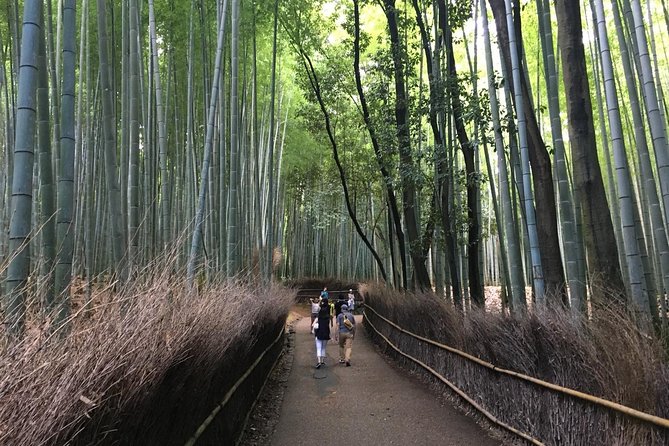 Kyoto Arashiyama & Sagano Walking Food Tour - Indulging in Traditional Japanese Cuisine: A Walking Food Tour in Kyoto