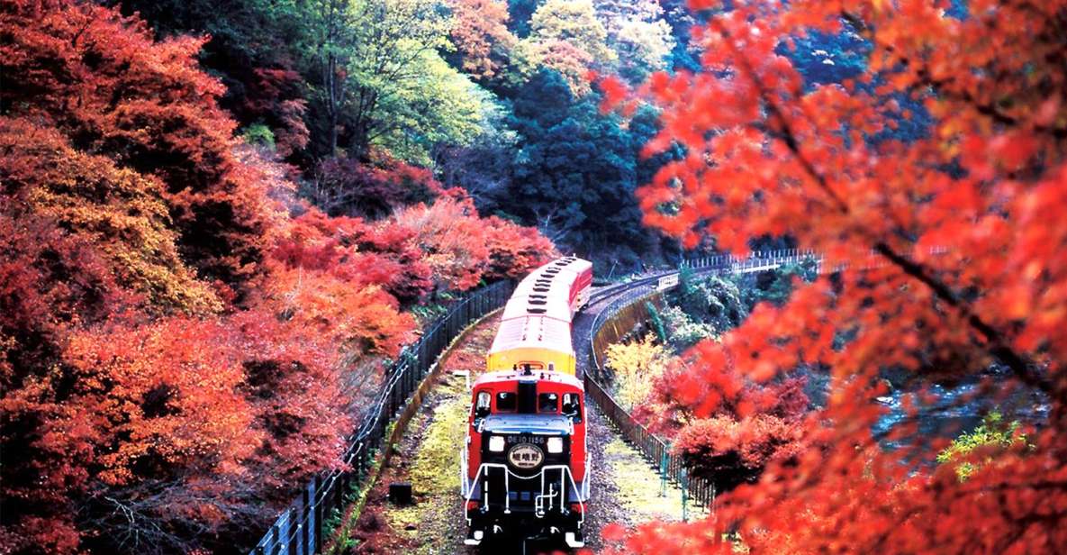 Kyoto Full Day Tour: Visiti Kyoto Sanzen-In and Arashiyama - Quick Takeaways