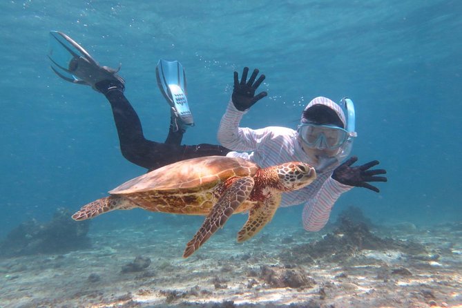 [Miyakojima Snorkel] Private Tour From 2 People Lets Look for Sea Turtles! Snorkel Tour That Can Be - Quick Takeaways