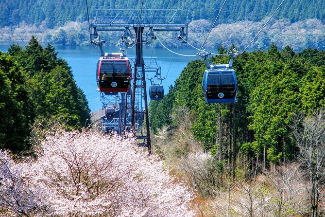 Mt Fuji and Hakone 1-Day Bus Tour Return by Bullet Train (Shinkansen) - Immersive Cultural Experience in Hakone