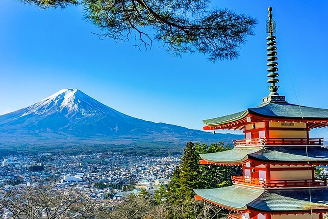 Mt. Fuji Five Lakes Area Private Tour With Licensed Guide(Kawaguchiko Area Dep) - Quick Takeaways