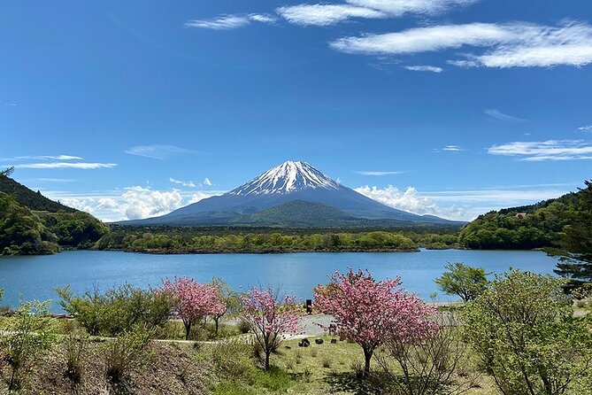 Mt Fuji Lakeshores Full-Day Bike Tour - Quick Takeaways