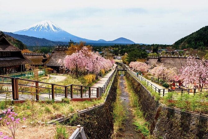 Mt Fuji Private Customize Tour With English Speaking Driver - Create Lasting Memories on a Tailored Mt Fuji Tour
