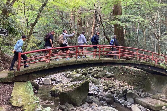Mt. Inunaki Trekking and Goma Prayer Experience in Osaka - Quick Takeaways
