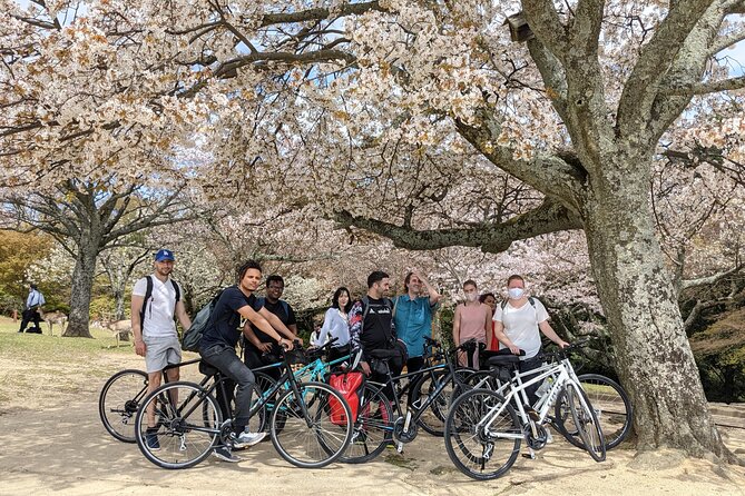 Nara - Heart of Nature Bike Tour - Quick Takeaways