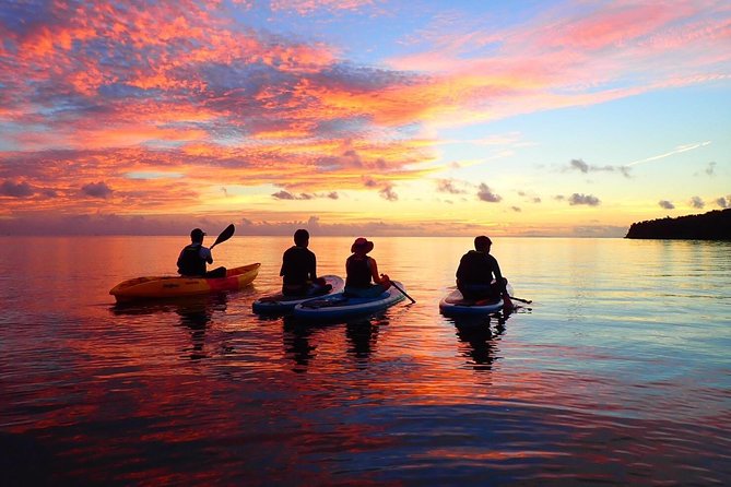 [Okinawa Iriomote] Sunset SUP/Canoe Tour in Iriomote Island - Quick Takeaways