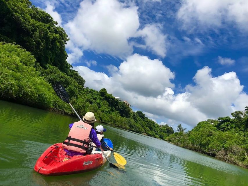 Okinawa: Mangrove Kayaking Tour - Quick Takeaways