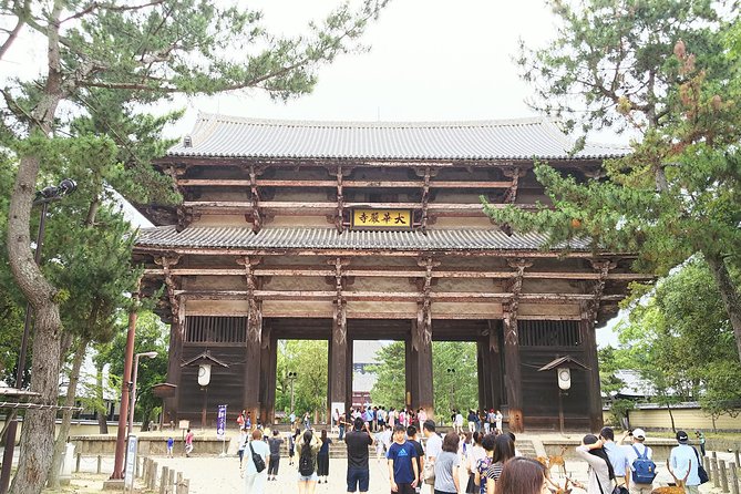 One-Day Tour of Amazing 8th Century Capital Nara - Quick Takeaways