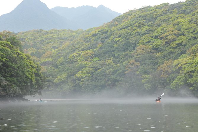 Private Half-Day Kayaking Trip on Kyushus Anbo River  - Kagoshima Prefecture - Quick Takeaways