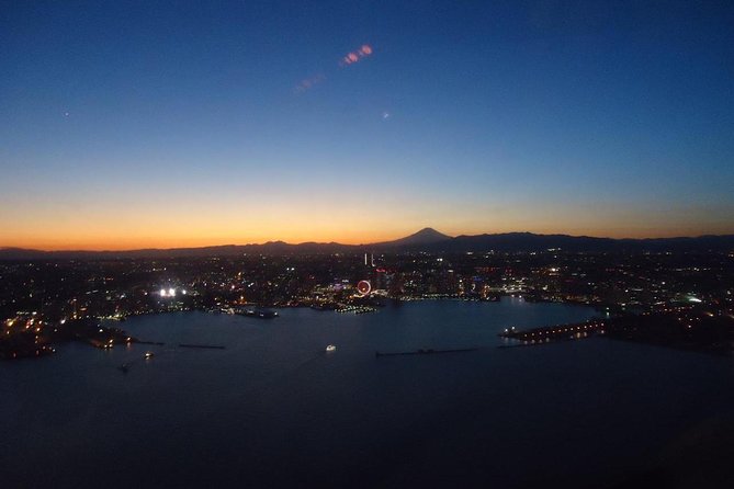 Private Helicopter Tour to See Mt Fuji or Tokyo Tower - Quick Takeaways