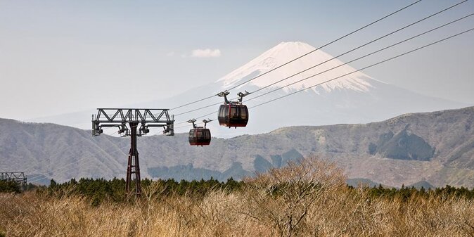 Private Transport Mt Fuji and Hakone 1 Day Trip - Quick Takeaways