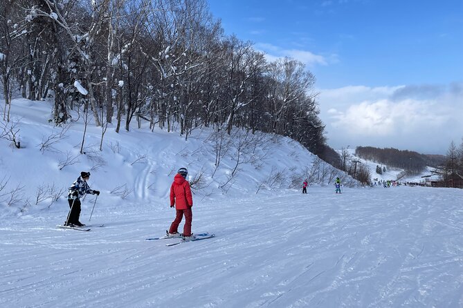 Sapporo Private Ski/ Snowboard Lesson With Pick-Up Service - Quick Takeaways