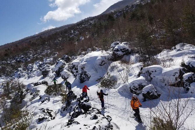 -Snow Mountain Hiking at the Foot of Asama- Karuizawa Snowshoe Tour - Quick Takeaways