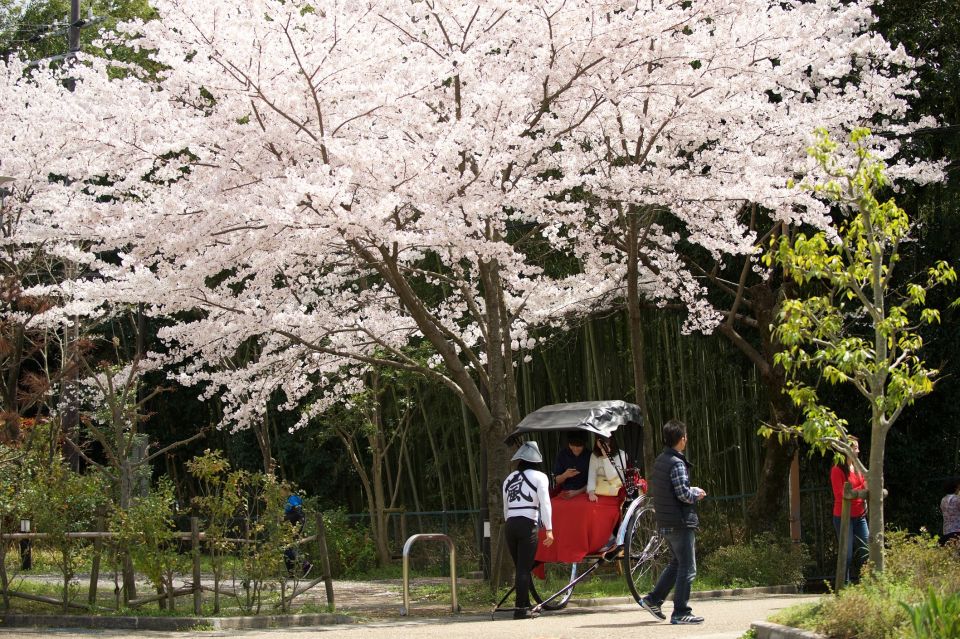 Kyoto: Arashiyama Customized Rickshaw Tour & Bamboo Forest - Meeting Point and Review Summary