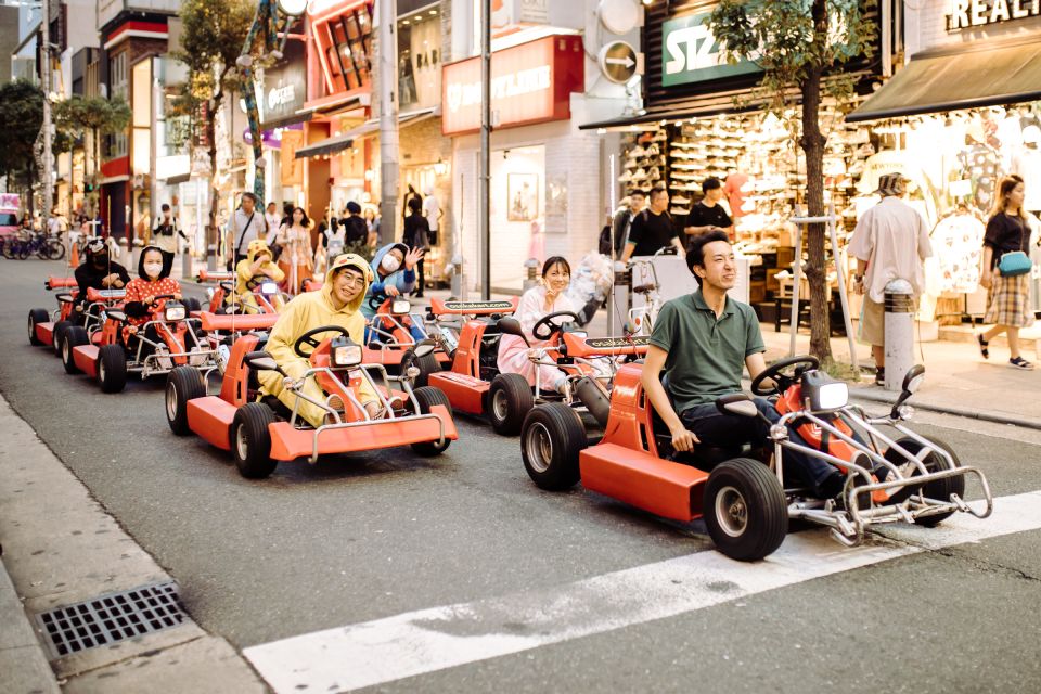Osaka: Bespoke Family Friendly City Tour - Explore Quirky Den Den Town