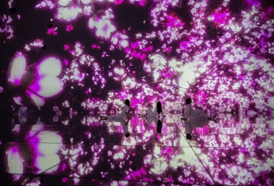 Teamlab Planets TOKYO: Digital Art Museum Entrance Ticket - Experience Highlights