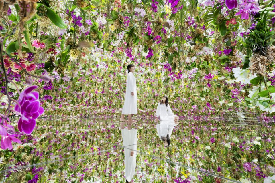 Teamlab Planets TOKYO: Digital Art Museum Entrance Ticket - Quick Takeaways