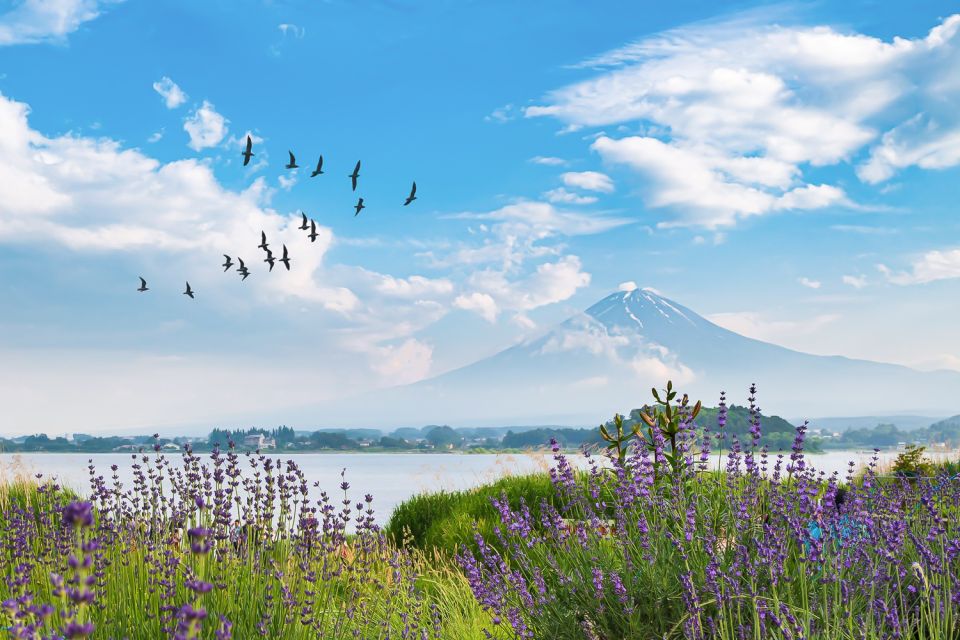 From Tokyo: 1-Day Private Mt. Fuji Tour by Car - Ticket Details