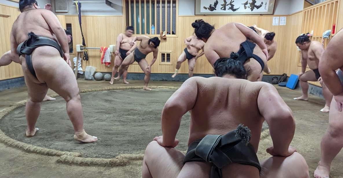 Tokyo: Morning Sumo Practice Viewing - Quick Takeaways